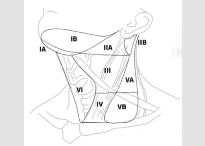 Esvaziamento cervical